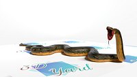 Anaconda Rigged Low Poly