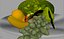 FRUTERO