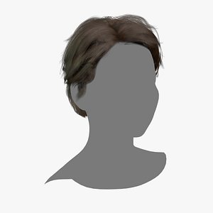 3D model Female Hair - 017