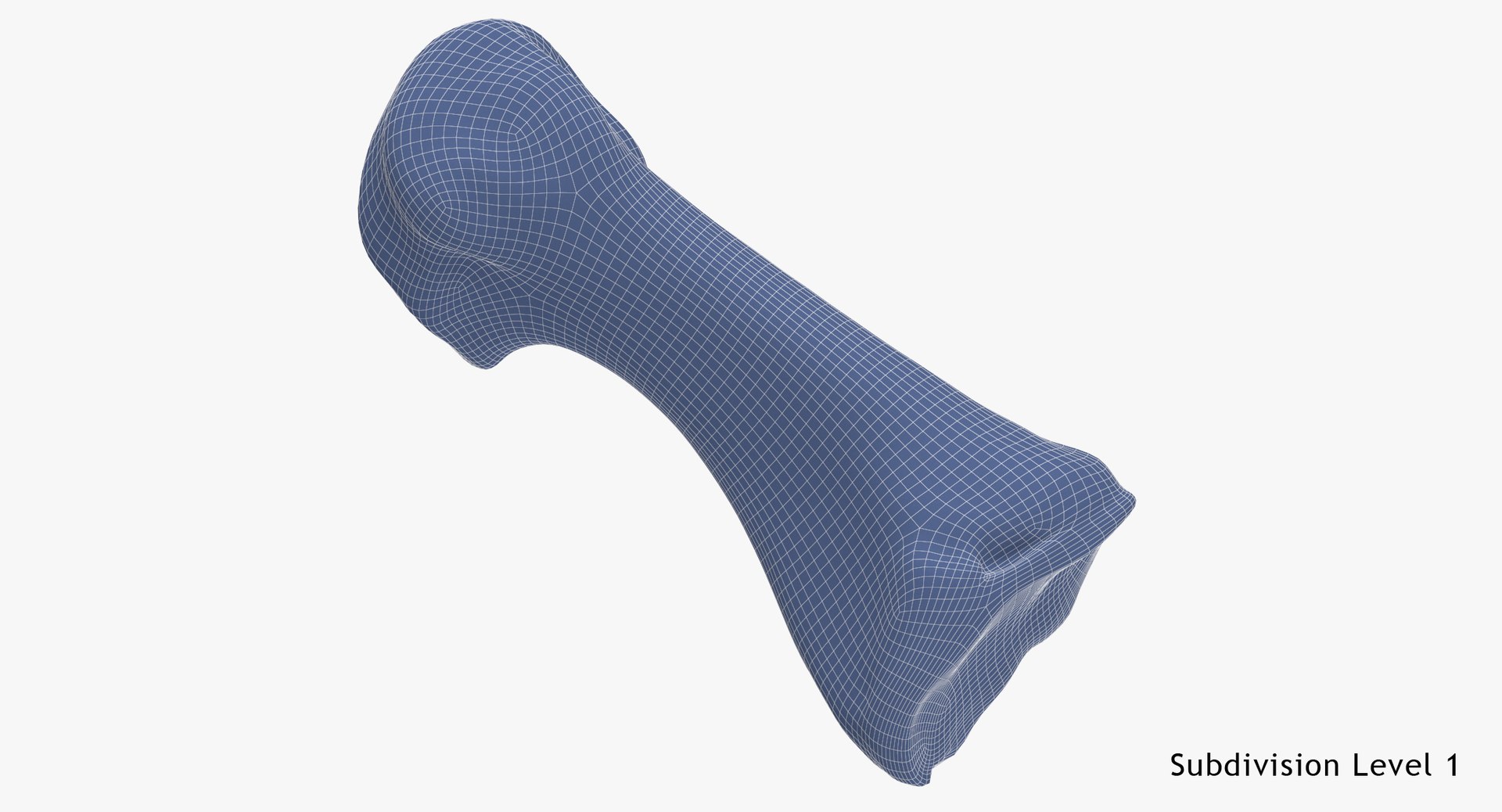 3D metatarsal bone 01 white model https://p.turbosquid.com/ts-thumb/sM/EQiVlg/6VLFyeTN/first_metatarsal_bone_01_white_wsubdiv1_0001/jpg/1587628884/1920x1080/fit_q87/00428ccbb5edf2341fed9cd05412c2cbea788930/first_metatarsal_bone_01_white_wsubdiv1_0001.jpg