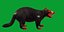 3D model Tasmanian Devils