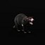3D model Tasmanian Devils