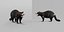 3D model Tasmanian Devils