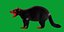 3D model Tasmanian Devils