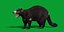 3D model Tasmanian Devils
