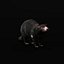 3D model Tasmanian Devils