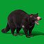 3D model Tasmanian Devils
