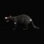 3D model Tasmanian Devils