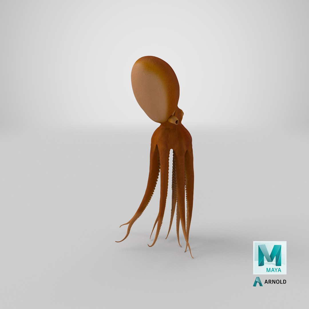 3d Model Of Common Octopus Swimming