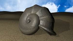 Shell