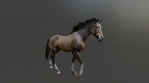 3D Rigged and Animated Brown Horse 3D model model