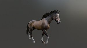 Rigged and Animated Brown Horse 3D model