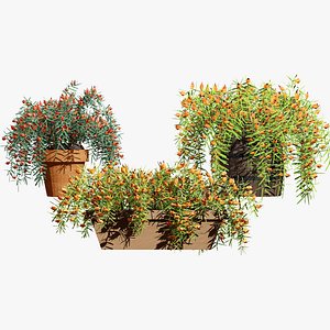 Realistic Lotus Vine Flower 3D model