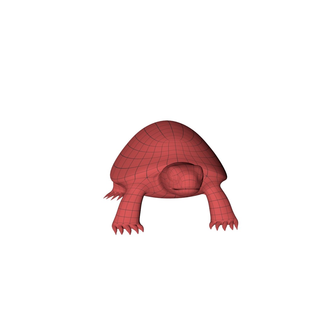 3D Base Mesh Tortoise Model - TurboSquid 1260535