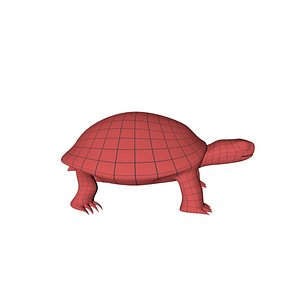 3D base mesh tortoise model