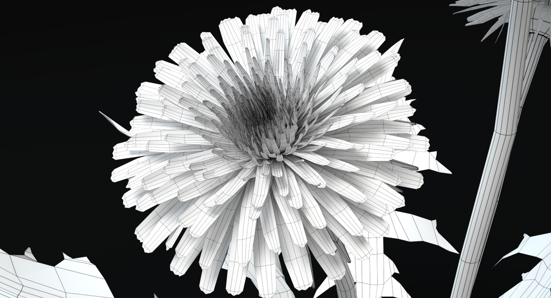 maya dandelion flowers https://p.turbosquid.com/ts-thumb/sM/vhtCMR/MNCVLaLs/wireframe2/png/1426861909/1920x1080/fit_q87/f51faf73d0ae3d13307aa57359def81647fabe37/wireframe2.jpg