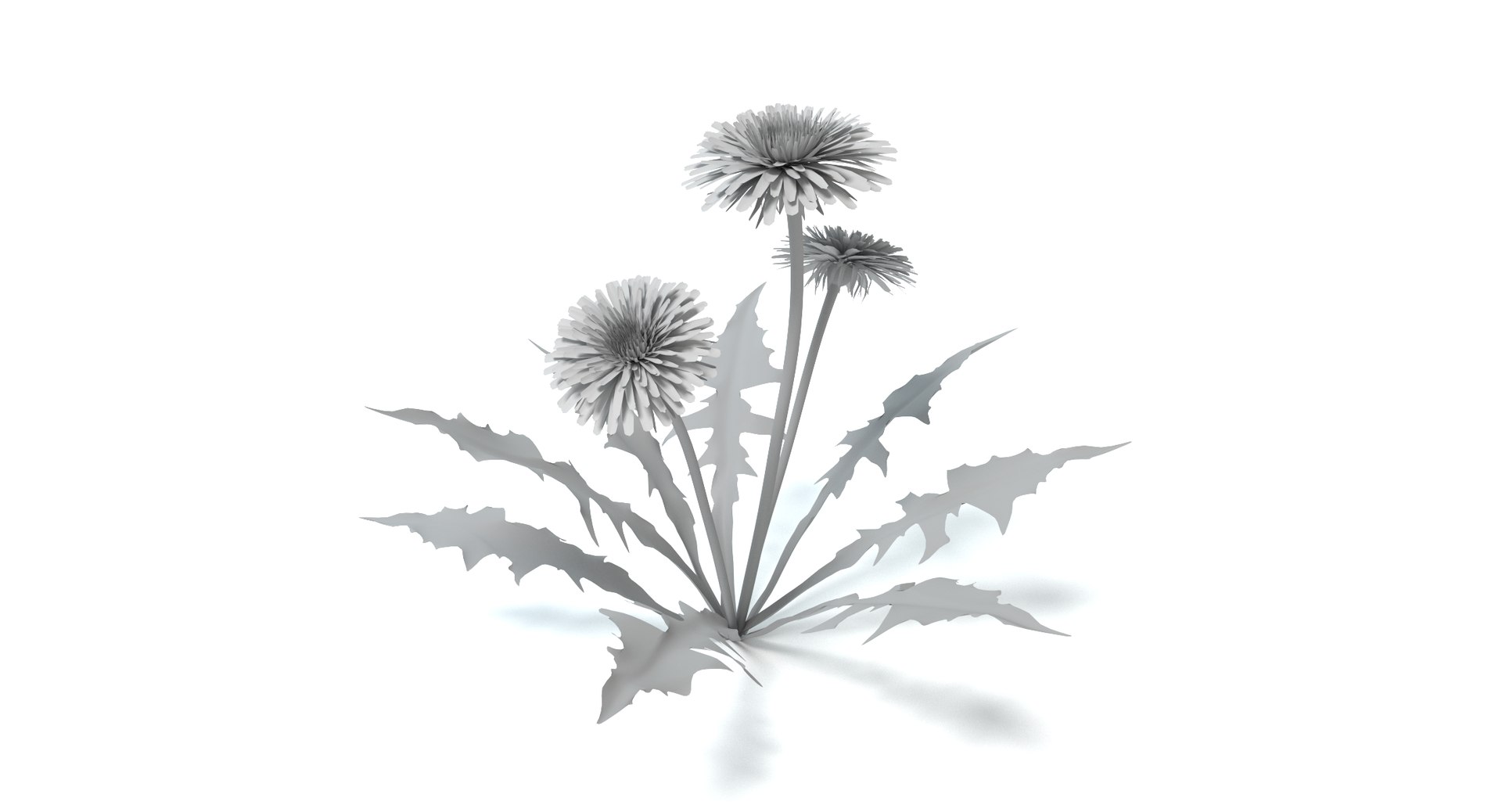 maya dandelion flowers https://p.turbosquid.com/ts-thumb/sM/vhtCMR/WYKlRS5b/thunbnail5/png/1426862044/1920x1080/fit_q87/922b7c16a28ac68384f73135188799c63a81629b/thunbnail5.jpg