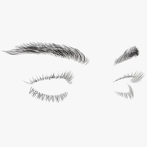 Womans Eyebrows and Eyelashes 3D model