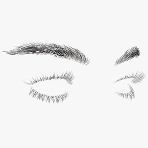 Womans Eyebrows and Eyelashes