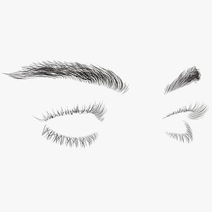 Womans Eyebrows and Eyelashes