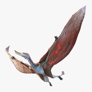 3D Rhamphorhynchus Animated