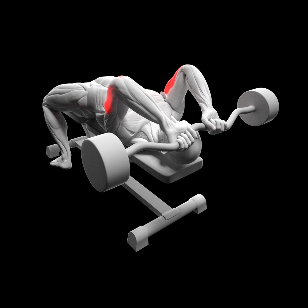 Triceps Exercise Pack - Cable Extension - French Press 3D model https://p.turbosquid.com/ts-thumb/sN/7kv935/m9/10/png/1715631364/1920x1080/fit_q87/f6d5d46d6f4d88b95d95e4a9cd6a0b20f611465a/10.jpg