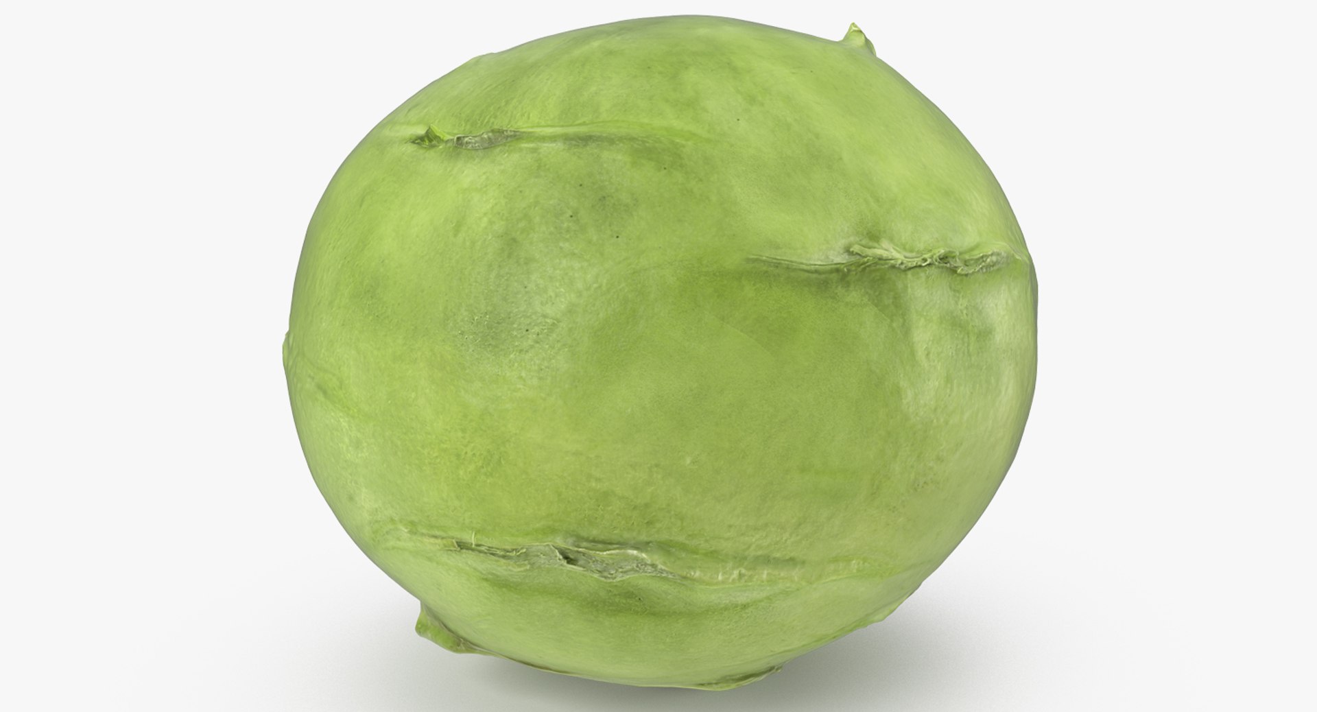 Turnip Cabbage or Kohlrabi 3D Model 3D model preview