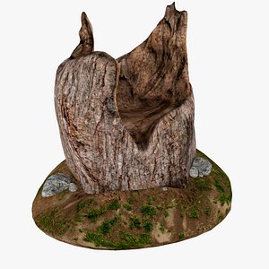 Tree Stump