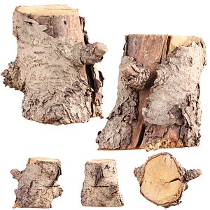 3D model 3D Scanned Tree Log Realistic Model With LOD Vol 02