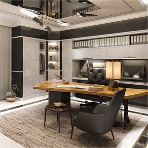 Private Office Interior 3D model