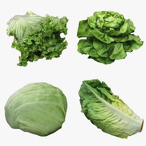 3D Salad Collection 11