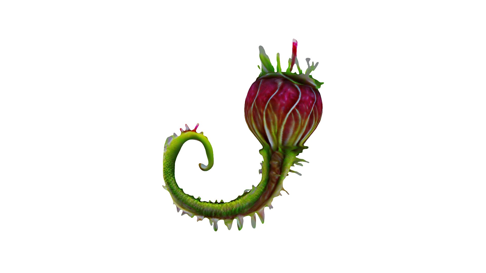 Venus Flytrap 3D Model - TurboSquid 2278293