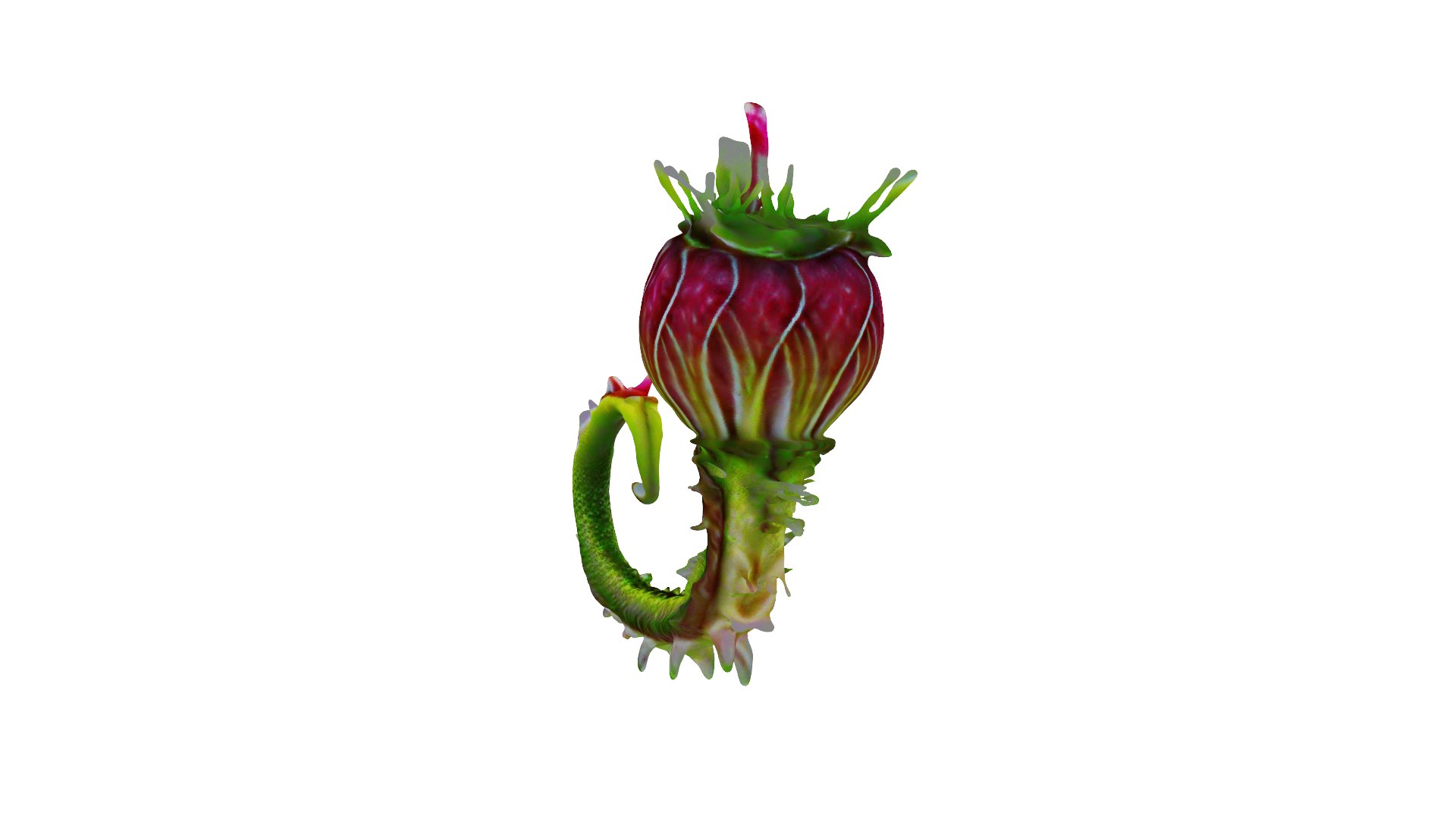 Venus Flytrap 3D Model - TurboSquid 2278293