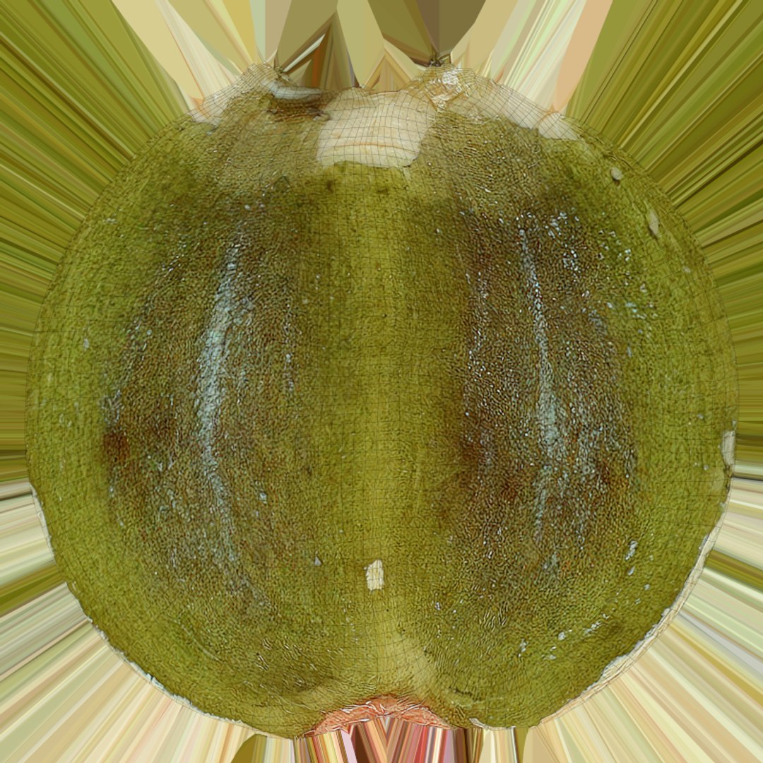 Raw Pumpkin Seeds Pile 3D https://p.turbosquid.com/ts-thumb/sN/fOES4j/sE/bowlpumpkinseedpd_e0005/png/1776248186/1920x1080/fit_q87/2bf41295e4d0f1036d84d938e0dafb1571fae137/bowlpumpkinseedpd_e0005.jpg
