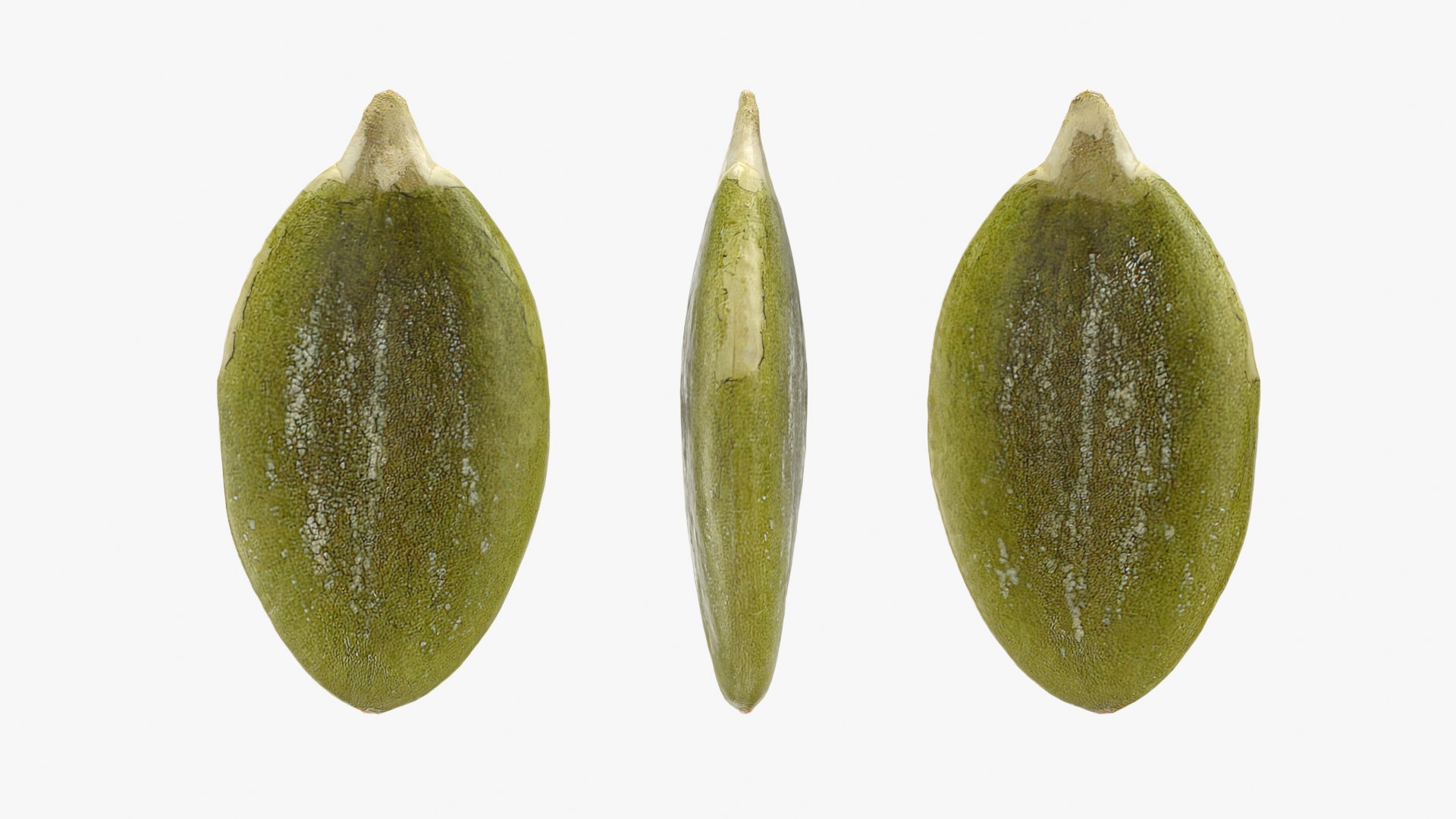 Raw Pumpkin Seeds Pile 3D https://p.turbosquid.com/ts-thumb/sN/fOES4j/zL/bowlpumpkinseedpd_d0020/png/1776248186/1920x1080/fit_q87/33c22ba0d55ad0dbb6c85ffc167ee8a055d23266/bowlpumpkinseedpd_d0020.jpg