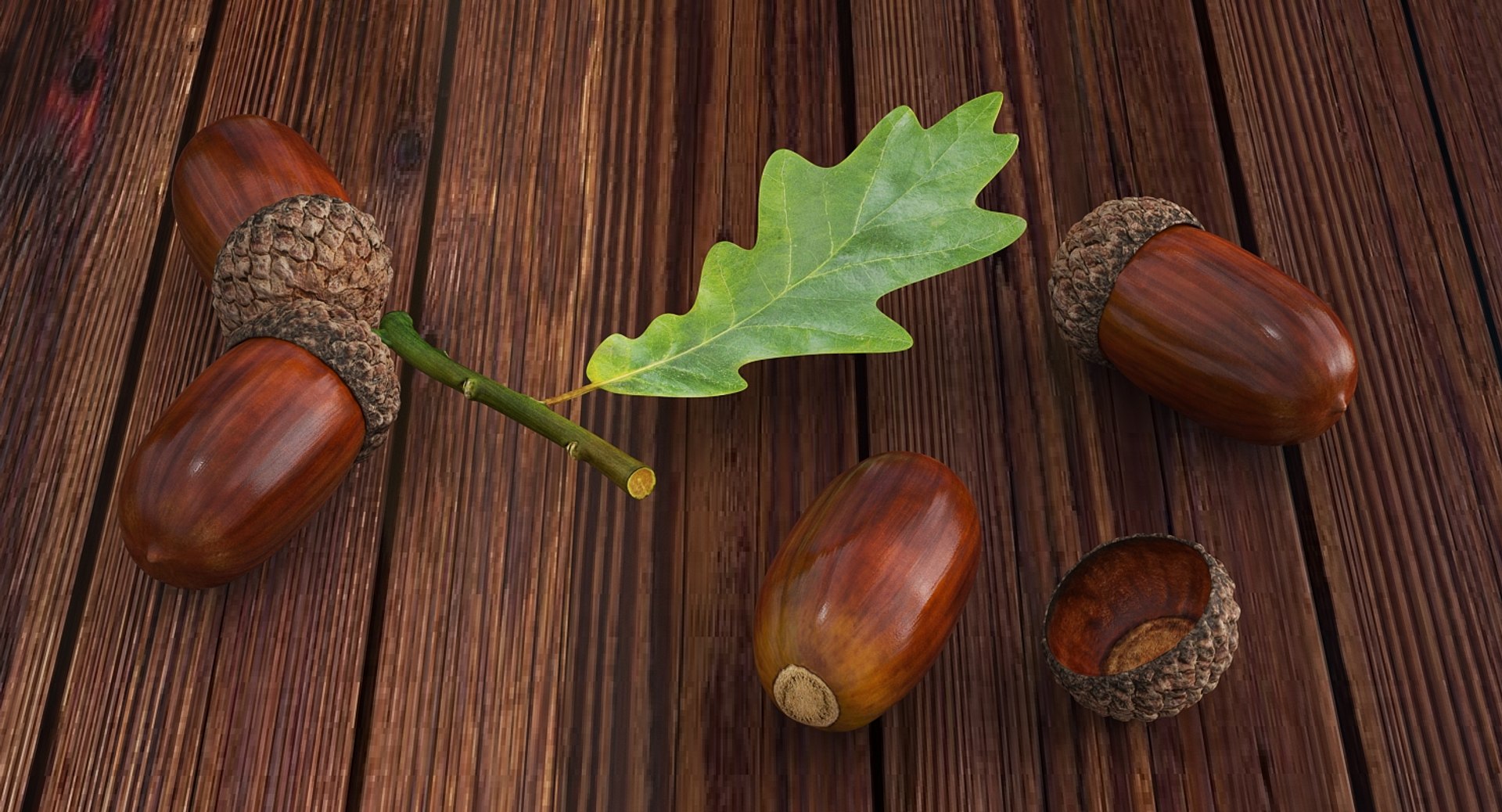 oak branch acorns model https://p.turbosquid.com/ts-thumb/sN/rHkAy8/zNpZsrFL/oakbranchwithacornsvray3dmodel002/jpg/1529284877/1920x1080/fit_q87/37ee4bab5f6defa41ace6b7d6e204c954b8ba06f/oakbranchwithacornsvray3dmodel002.jpg