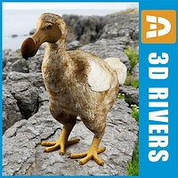 Dodo by 3DRivers
