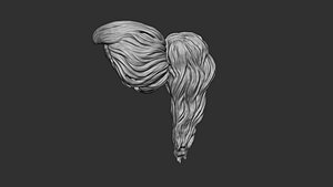 hair 41 3D model