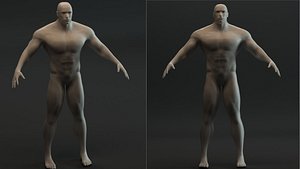 Synthetic humanoid
