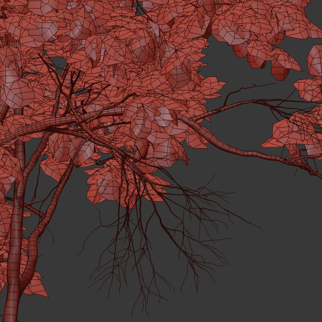 3D Autumn Acer cappadocicum model https://p.turbosquid.com/ts-thumb/sO/4t7Vfb/K3/preview8art/jpg/1662535568/1920x1080/fit_q87/7b7bfcc727b866f3e643052056749ebdc3eb4b24/preview8art.jpg