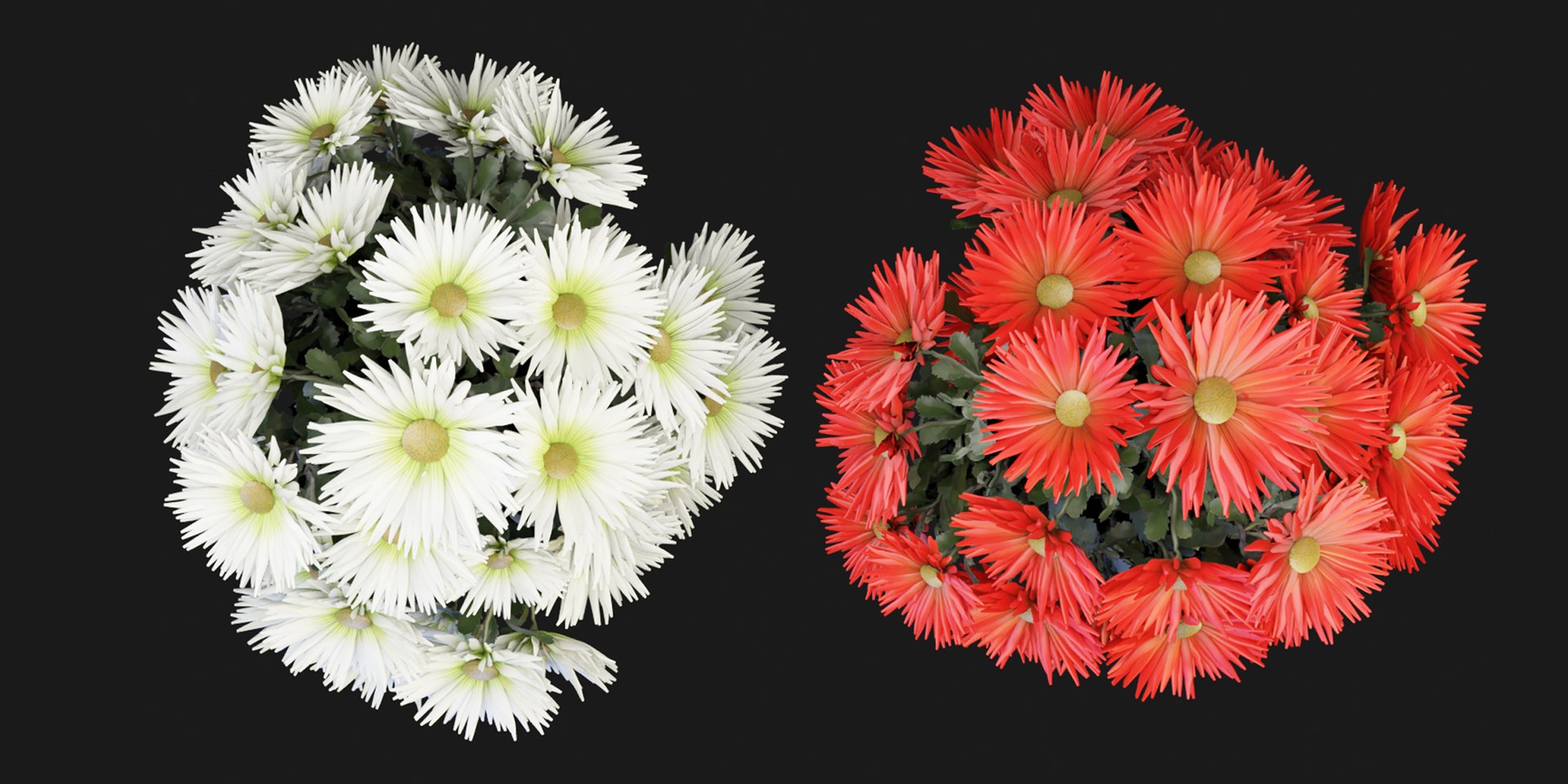Collection plant vol 115 - blender model 3D https://p.turbosquid.com/ts-thumb/sO/DW8hko/3g/2/jpg/1687094752/1920x1080/fit_q87/752390c94b680670b8d3bcce2b614c7a70b96cd1/2.jpg