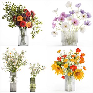 3D model Realistic Bouquets Chamomile Chrysanthemum Poppy set 623
