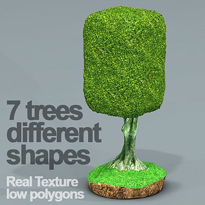 Seven ficus trees HD