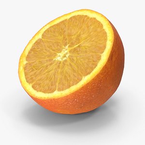 Orange Half 3D model