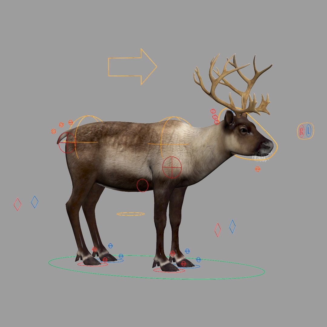 3d model reindeer fur rigged https://p.turbosquid.com/ts-thumb/sO/l1jIiF/4bmZfjPf/reindeer_fur_rigged_20/jpg/1438424068/1920x1080/fit_q87/08c6392d9b120f0b86debac57746a70b1c0b0bb7/reindeer_fur_rigged_20.jpg