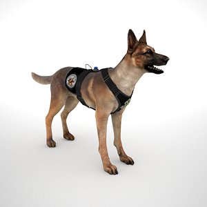 Belgian Malinois -Combat Harness Low Poly
