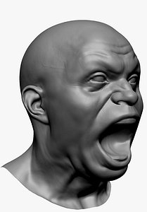 3D Male Facial Expression