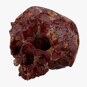 Horror Human Skull 3D model