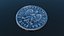 Polish Zloty coin