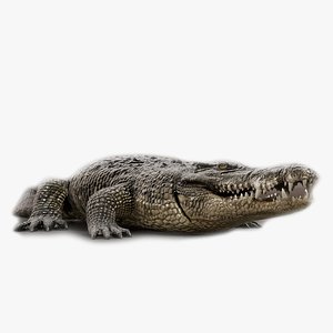 3D Crocodile Animated UNREAL project model